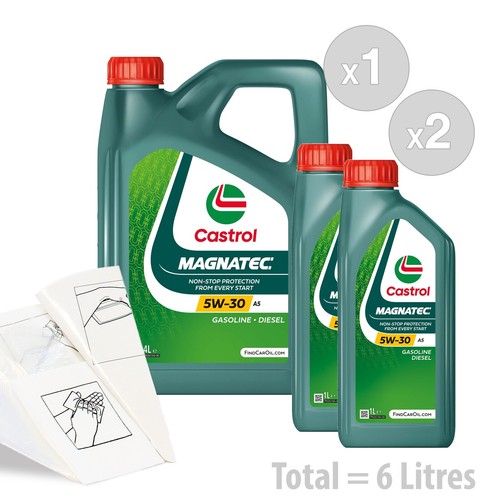 Car engine oil - engine, service