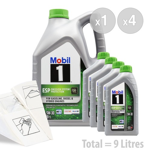 Car engine oil - engine, service