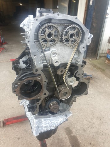 Ford transit ecoblue - ford,