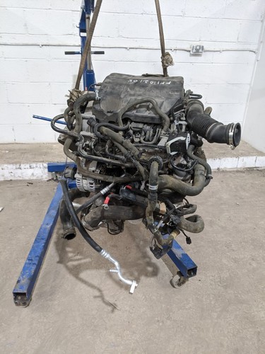 Ford fiesta mk8 - ford, 1.0