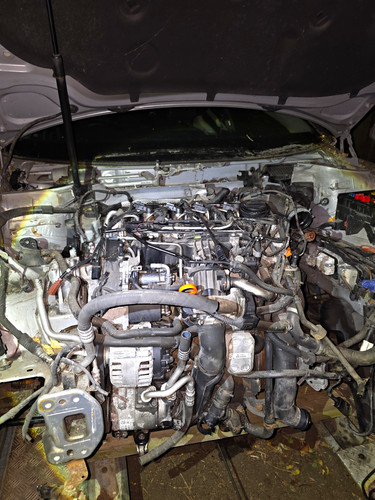 Engine 6tdi volkswagen golf - 1.6tdi,